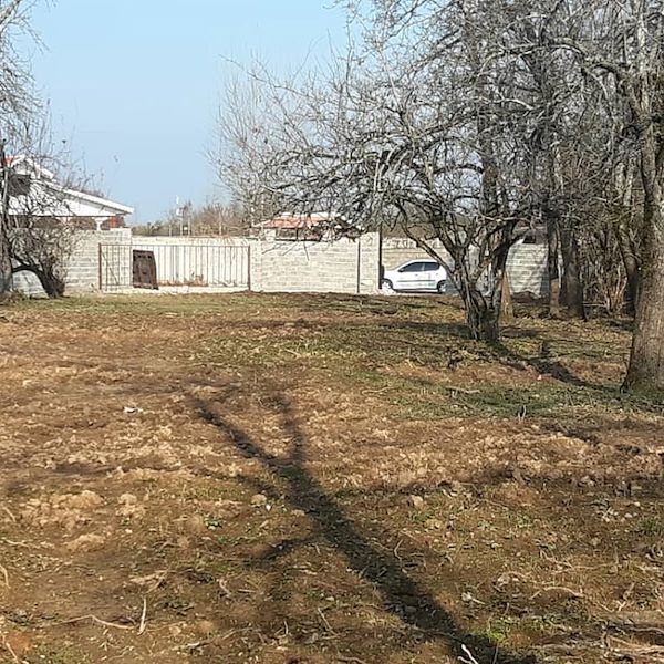 املاک مزرعه صومعه سرا فروش زمین 2000 متری مسکونی در پشتیر - رشت